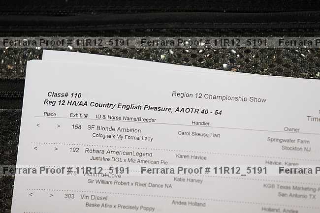 Proof 11r12_5191