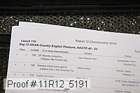 11r12_5191 proof