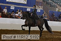 11r12_5192 proof