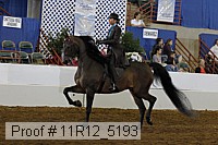 11r12_5193 proof