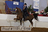 11r12_5194 proof