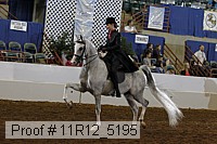 11r12_5195 proof