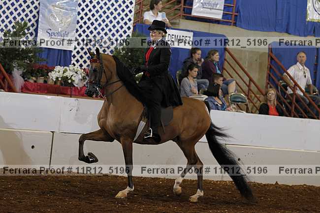 Proof 11r12_5196