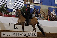 11r12_5196 proof
