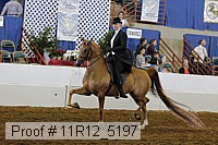 11r12_5197 proof