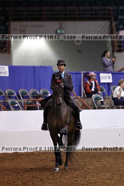 Proof 11r12_5199