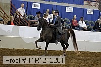 11r12_5201 proof