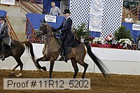 11r12_5202 proof