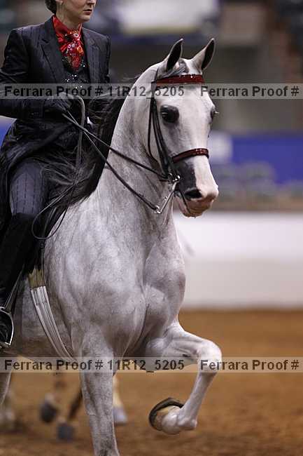 Proof 11r12_5205