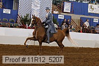 11r12_5207 proof