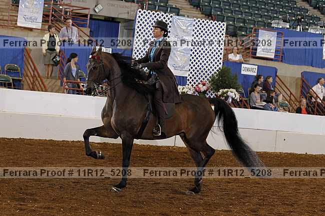 Proof 11r12_5208