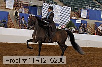 11r12_5208 proof