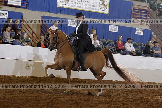 Proof 11r12_5209
