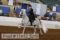 11r12_5210 proof