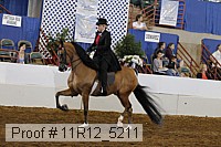 11r12_5211 proof