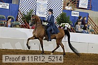 11r12_5214 proof