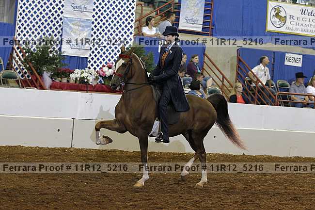 Proof 11r12_5216