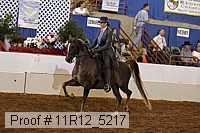 11r12_5217 proof