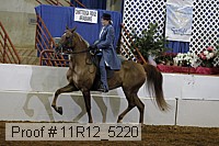 11r12_5220 proof