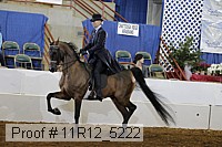 11r12_5222 proof