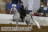 11r12_5224 proof