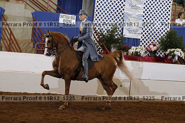 Proof 11r12_5225