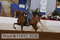 11r12_5225 proof
