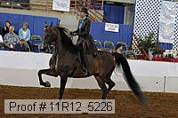 11r12_5226 proof