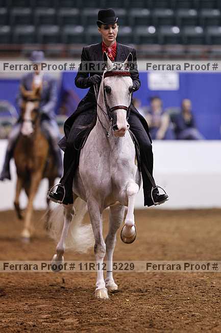 Proof 11r12_5229