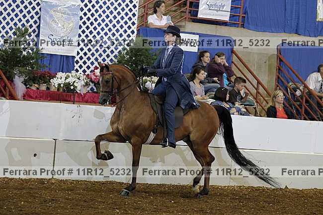 Proof 11r12_5232