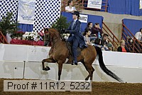 11r12_5232 proof