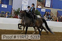 11r12_5233 proof