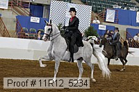 11r12_5234 proof
