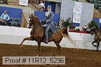 11r12_5236 proof