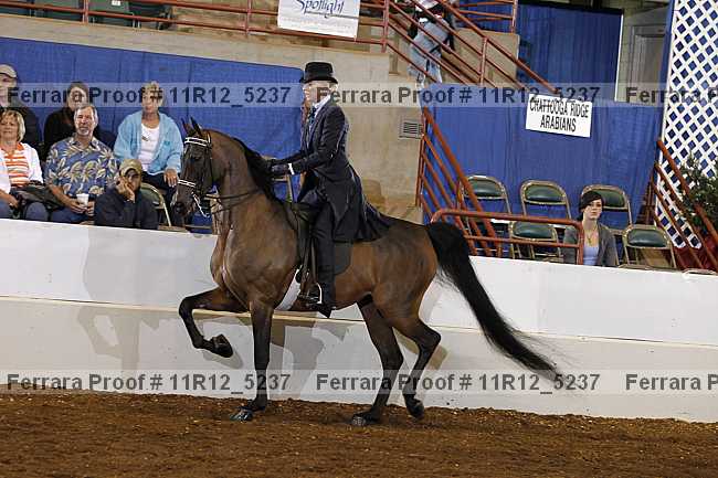 Proof 11r12_5237