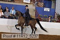 11r12_5237 proof
