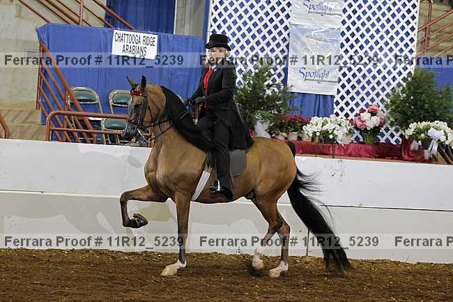 Proof 11r12_5239