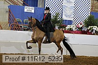 11r12_5239 proof