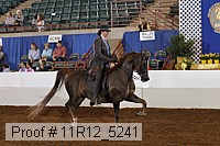 11r12_5241 proof