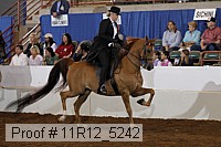11r12_5242 proof