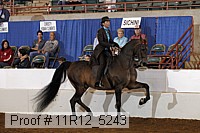 11r12_5243 proof