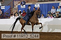 11r12_5244 proof