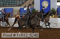 11r12_5248 proof