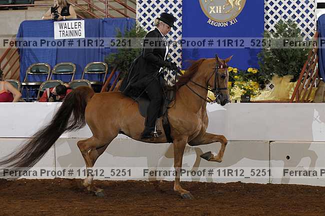 Proof 11r12_5251