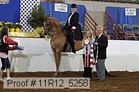 11r12_5258 proof