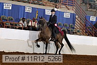 11r12_5266 proof