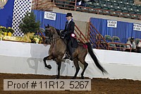 11r12_5267 proof