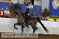 11r12_5268 proof