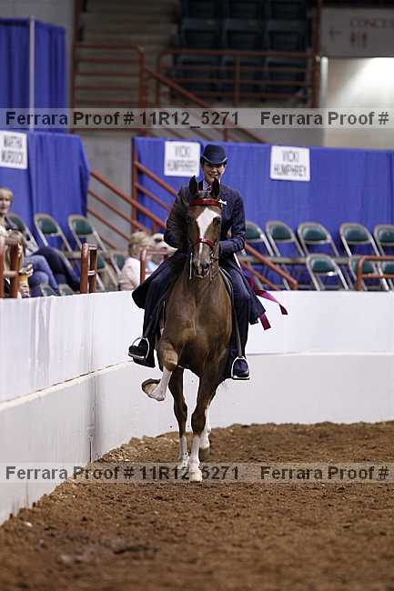 Proof 11r12_5271