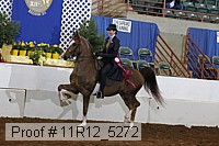 11r12_5272 proof